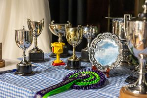 selection of prizes including silver cups and a plate